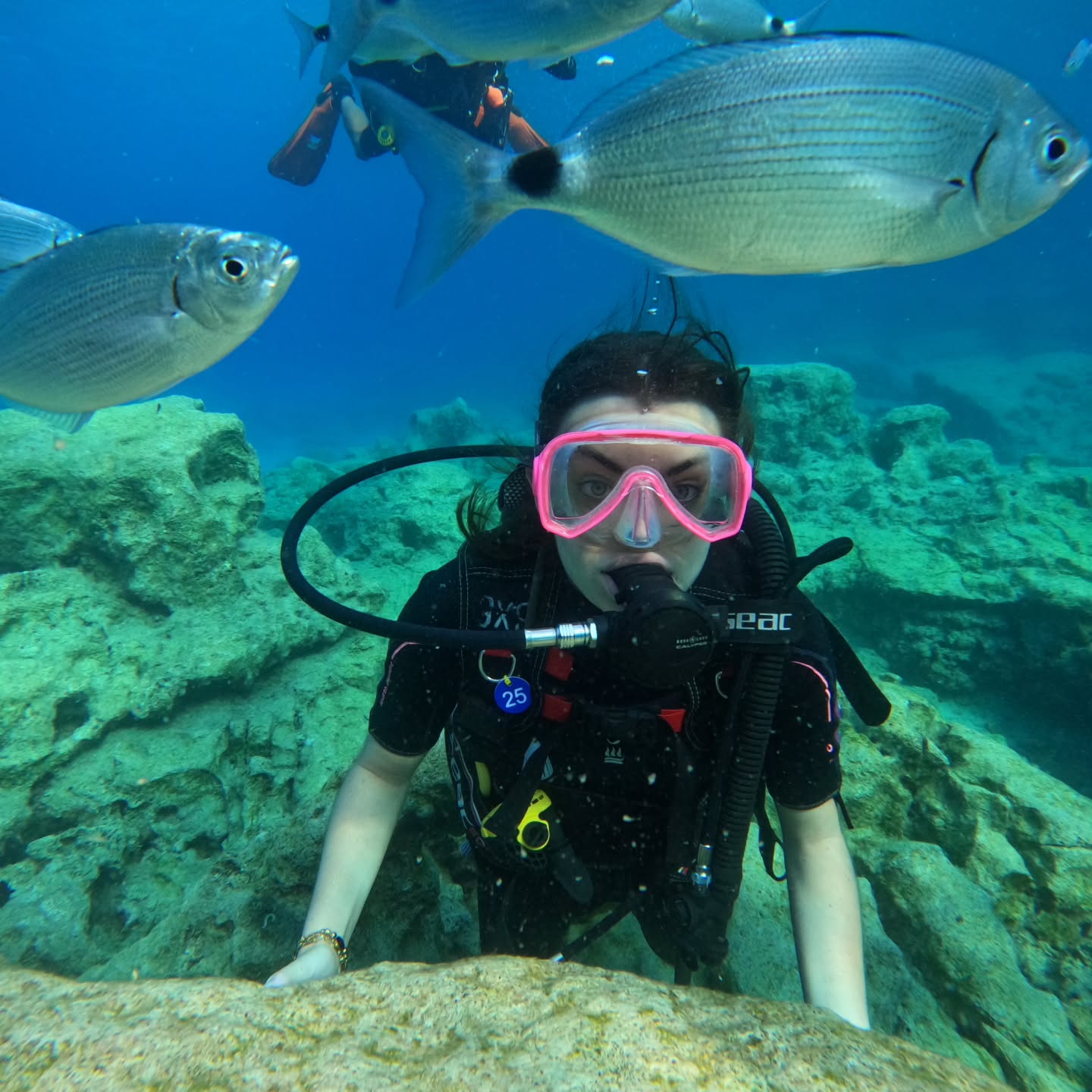 MADRİD BARSELONA TARRAGONA